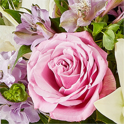 Daydreamer Bouquet – CAMPBELL ROSES & PLANTS LTD CO, Fort Campbell KY