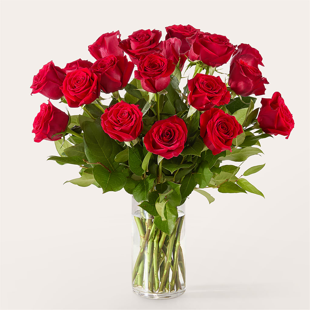 The One Red Rose Bouquet – CAMPBELL ROSES & PLANTS LTD CO, Fort Campbell KY