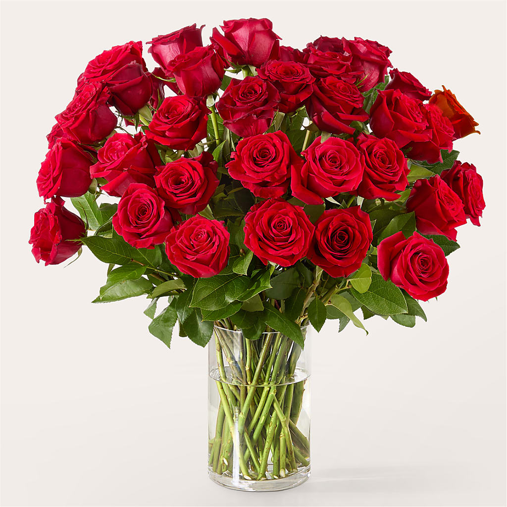 The One Red Rose Bouquet – CAMPBELL ROSES & PLANTS LTD CO, Fort Campbell KY
