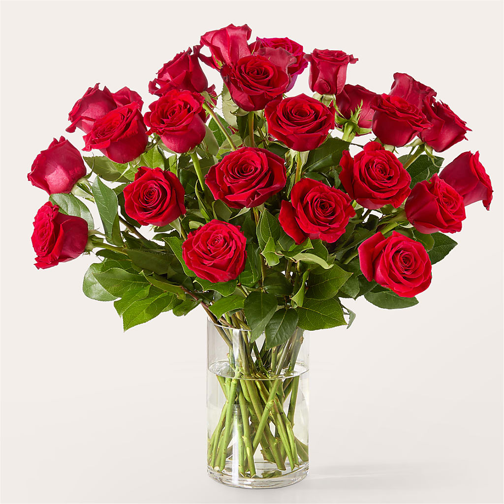 The One Red Rose Bouquet – CAMPBELL ROSES & PLANTS LTD CO, Fort Campbell KY