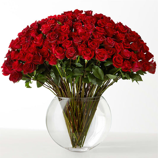 The Idealist – CAMPBELL ROSES & PLANTS LTD CO, Fort Campbell KY