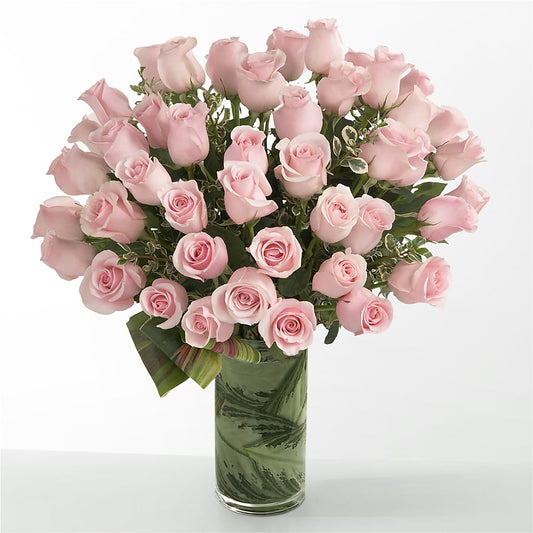 Pink Essence – CAMPBELL ROSES & PLANTS LTD CO, Fort Campbell KY