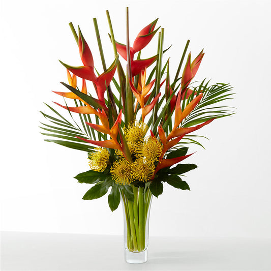 The Drama – CAMPBELL ROSES & PLANTS LTD CO, Fort Campbell KY