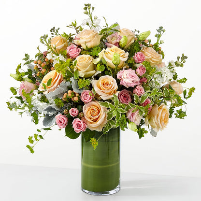 The Glamour Shot – CAMPBELL ROSES & PLANTS LTD CO, Fort Campbell KY