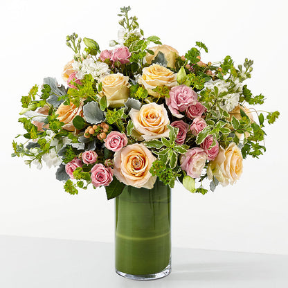 The Glamour Shot – CAMPBELL ROSES & PLANTS LTD CO, Fort Campbell KY