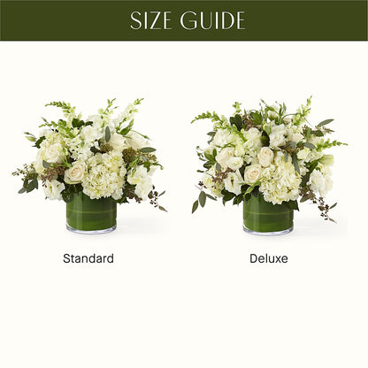 The Gallery – CAMPBELL ROSES & PLANTS LTD CO, Fort Campbell KY