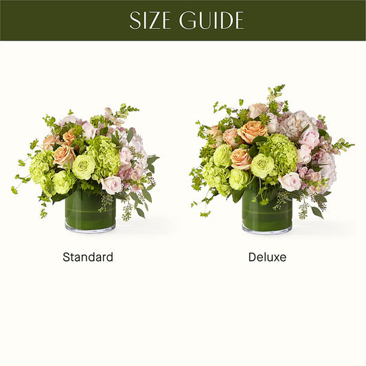 The Art Deco – CAMPBELL ROSES & PLANTS LTD CO, Fort Campbell KY