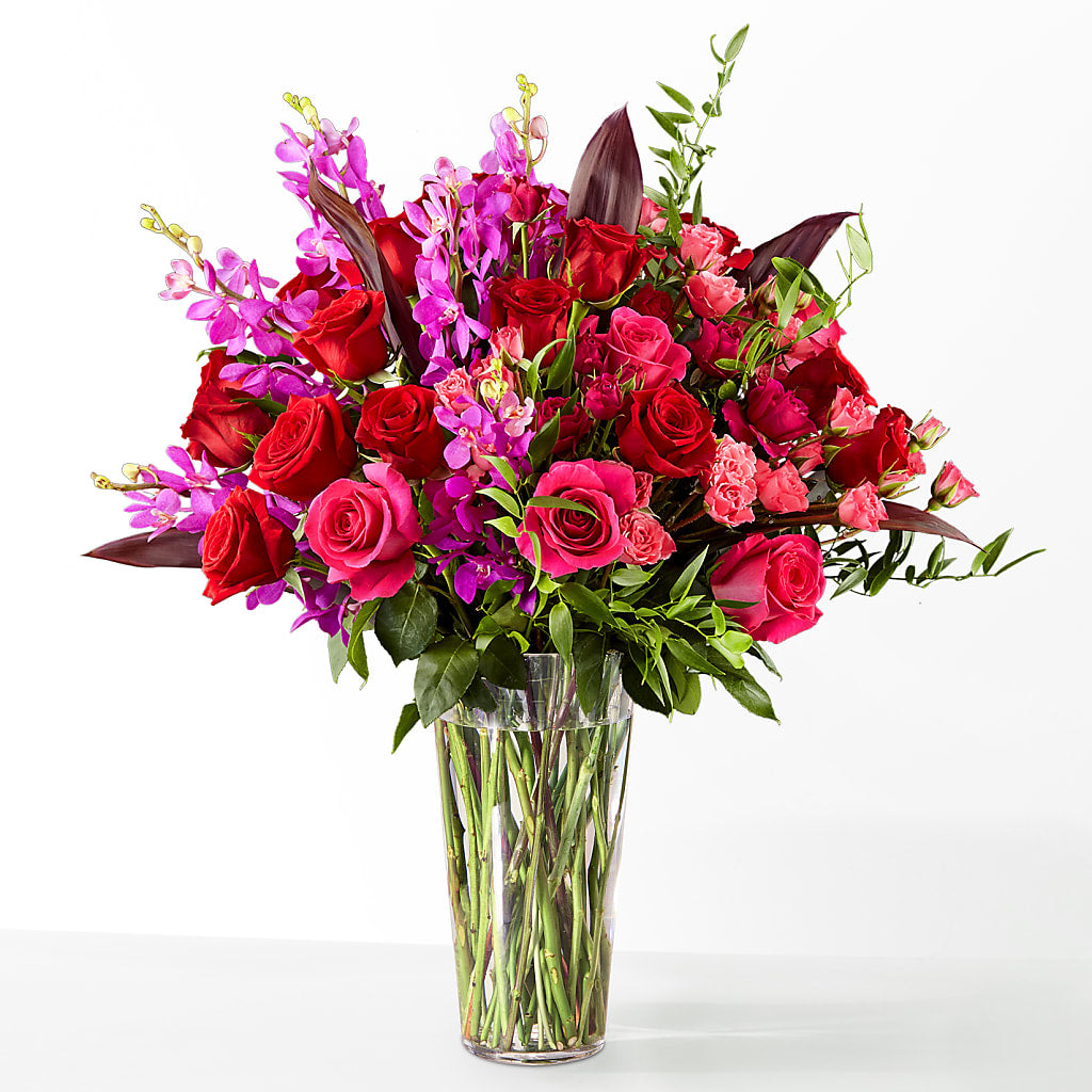 The Honeymoon – CAMPBELL ROSES & PLANTS LTD CO, Fort Campbell KY