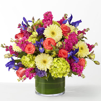 The Couture – CAMPBELL ROSES & PLANTS LTD CO, Fort Campbell KY