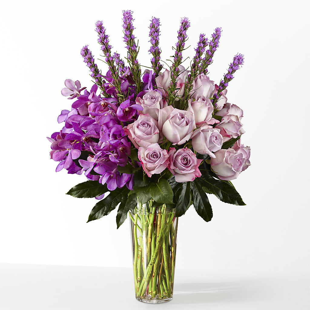 The Maximalist – CAMPBELL ROSES & PLANTS LTD CO, Fort Campbell KY