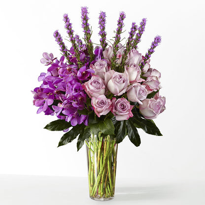 The Maximalist – CAMPBELL ROSES & PLANTS LTD CO, Fort Campbell KY