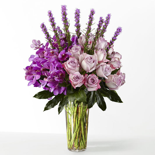 The Maximalist – CAMPBELL ROSES & PLANTS LTD CO, Fort Campbell KY