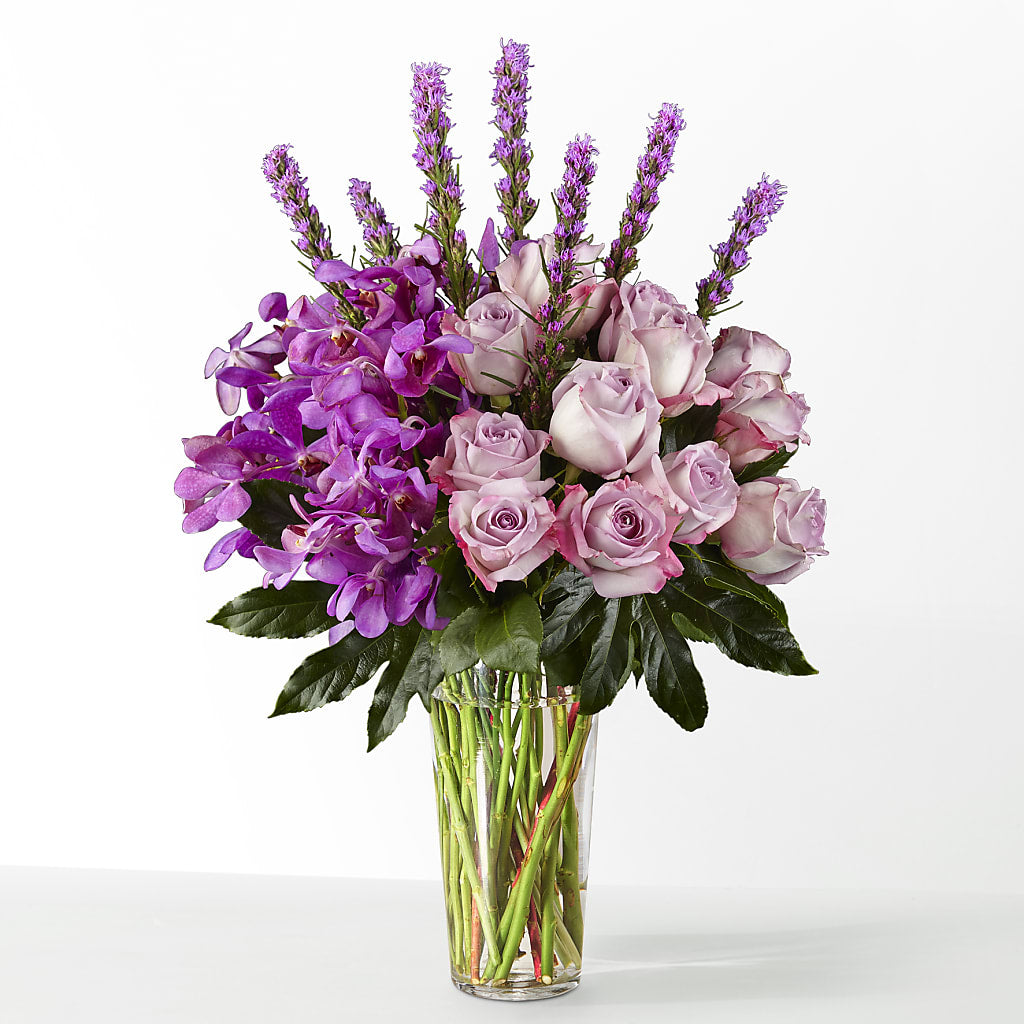 The Maximalist – CAMPBELL ROSES & PLANTS LTD CO, Fort Campbell KY