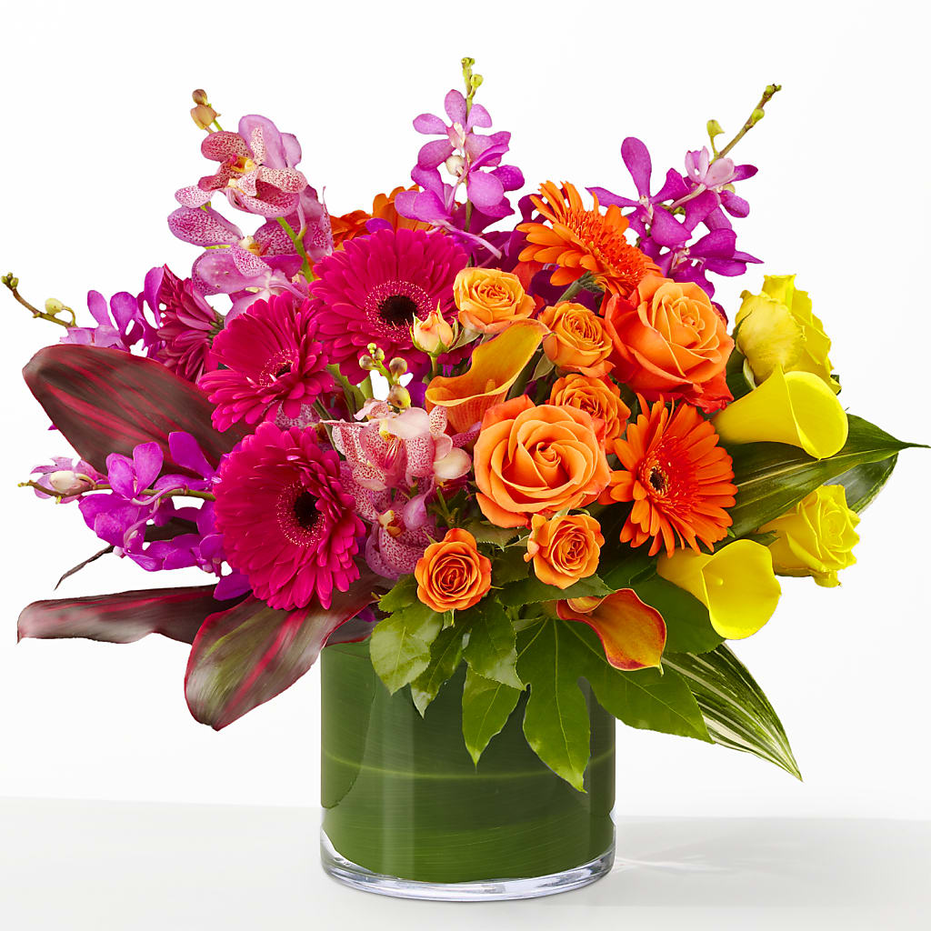 The Mosaic – CAMPBELL ROSES & PLANTS LTD CO, Fort Campbell KY