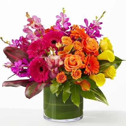 The Mosaic – CAMPBELL ROSES & PLANTS LTD CO, Fort Campbell KY