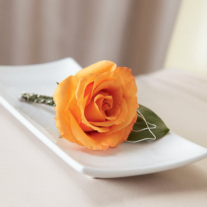 Lifetime of Love Boutonniere – CAMPBELL ROSES & PLANTS LTD CO, Fort Campbell KY