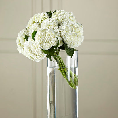 White Hydrangea Hand-Tied Bouquet – CAMPBELL ROSES & PLANTS LTD CO, Fort Campbell KY