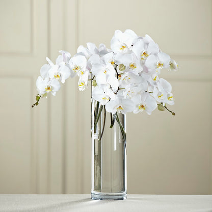 White Phalaenopsis Bouquet – CAMPBELL ROSES & PLANTS LTD CO, Fort Campbell KY