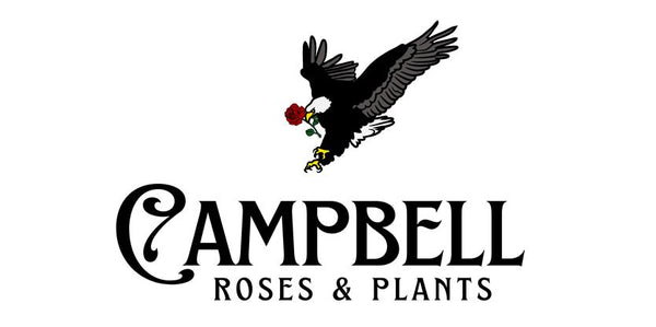 Campbell Roses & Plants Ltd Co