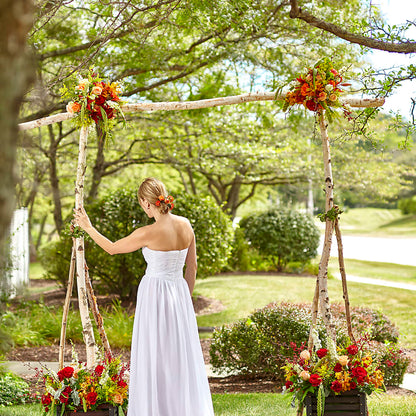 Arbor of Love Archway – CAMPBELL ROSES & PLANTS LTD CO, Fort Campbell KY