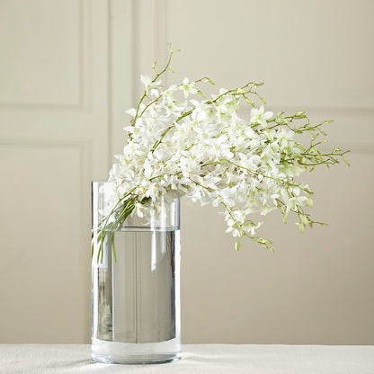 White Dendrobium Bouquet – CAMPBELL ROSES & PLANTS LTD CO, Fort Campbell KY